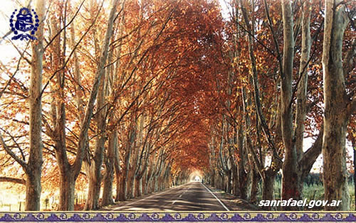 otoño en San Rafael