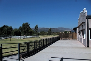 terraza