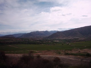 tarija 2