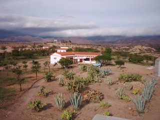 tarija 4